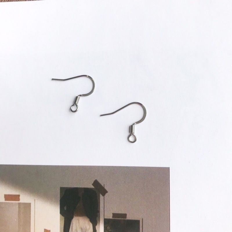 Earring Hook 1 pair - Stainless Steel