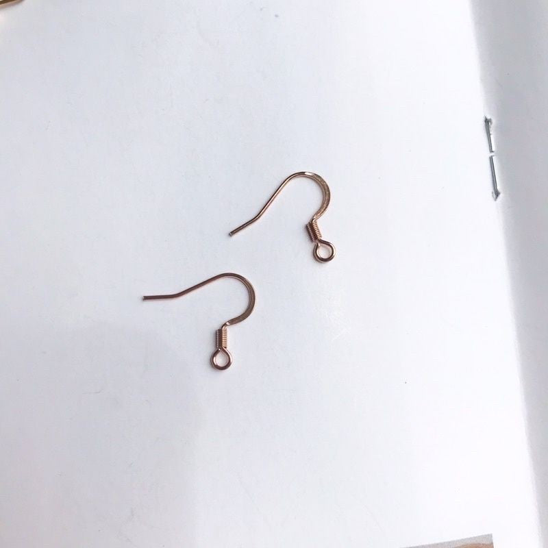 Earring Hook 1 pair - Stainless Steel