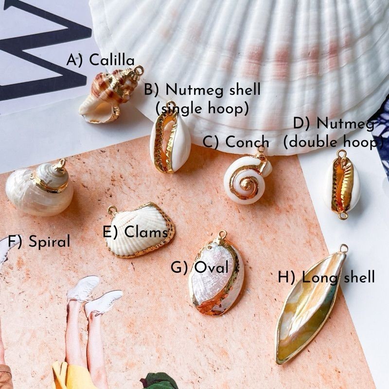 Seashell pendant plated in gold/ DIY shell accessories for necklace gold earrings